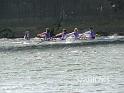 P1010208 copy